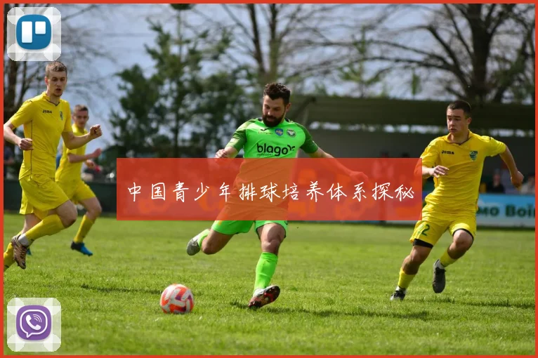 中国青少年排球培养体系探秘