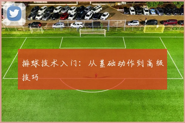排球技术入门：从基础动作到高级技巧