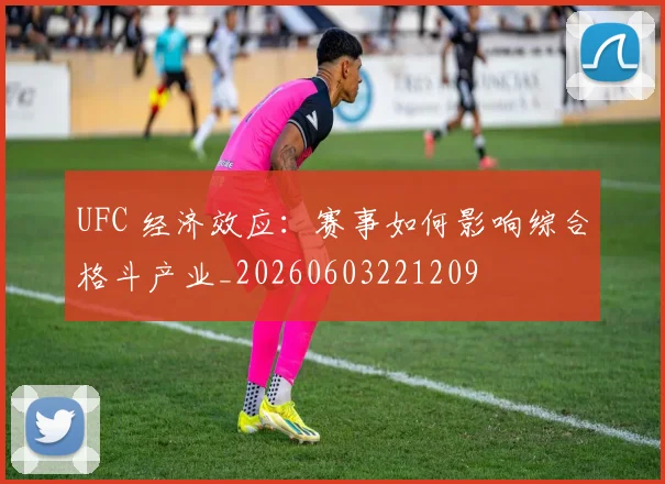 UFC 经济效应：赛事如何影响综合格斗产业_20260603221209