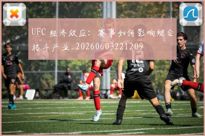 UFC 经济效应:赛事如何影响综合格斗产业_20260603221209