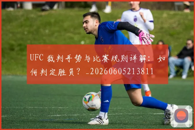 UFC 裁判手势与比赛规则详解：如何判定胜负？_20260605213811